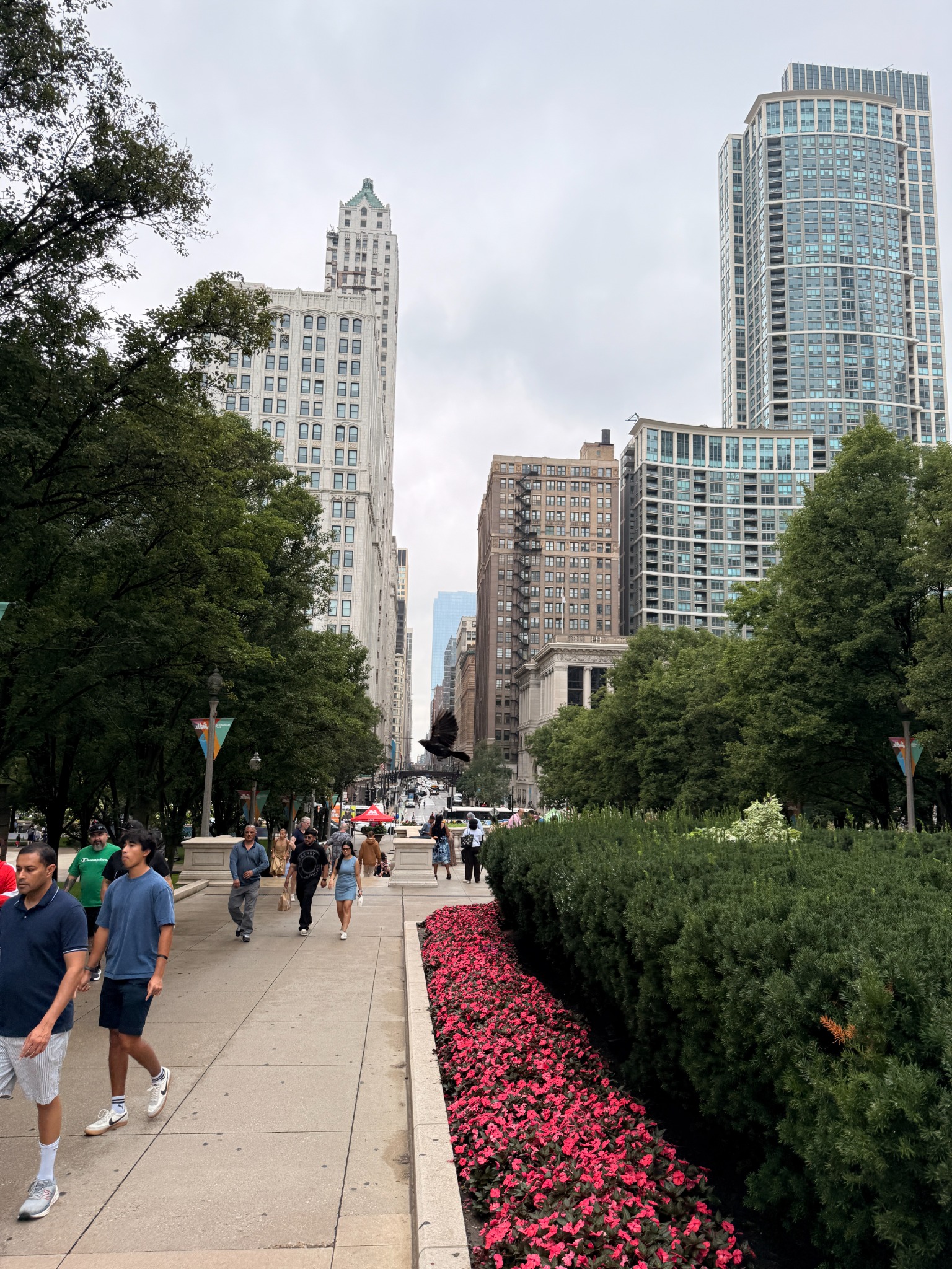A view through Chicago from Millennium Park