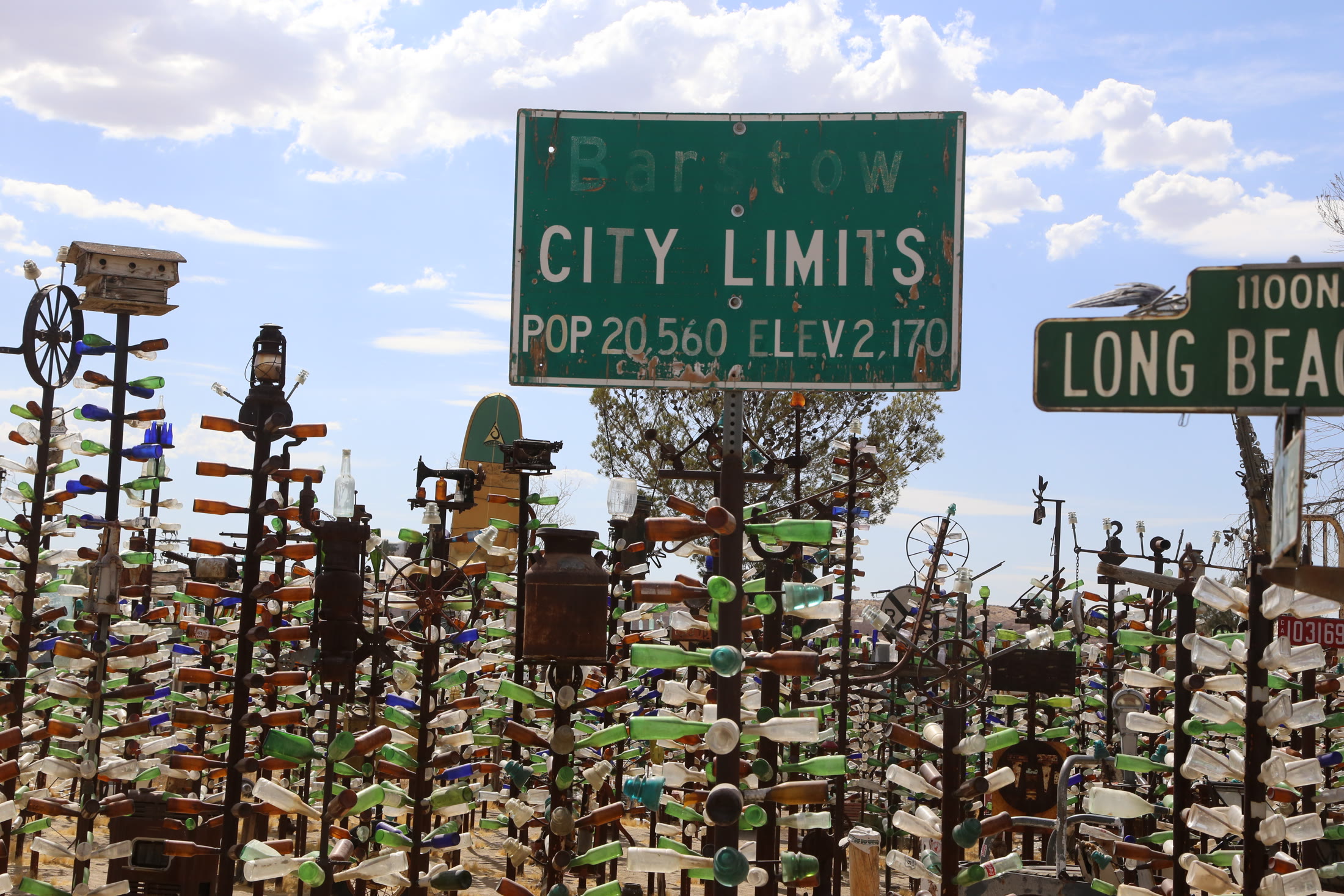 Bottle trees crowd around an old city-limits sign near Oro Grande.